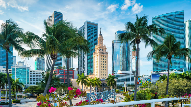The Miami skyline