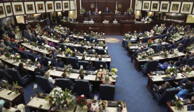 Florida Gov. Ron DeSantis addresses the Florida Legislature in his 2025 State of the State on March 4, 2025, at the state capitol in Tallahassee (AP)