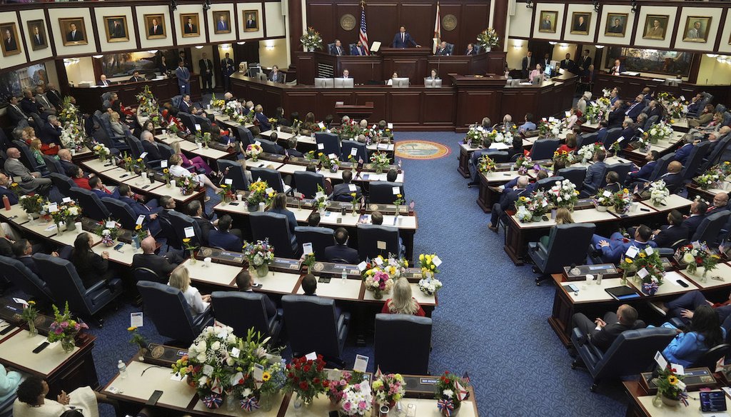 Florida Gov. Ron DeSantis addresses the Florida Legislature in his 2025 State of the State on March 4, 2025, at the state capitol in Tallahassee (AP)