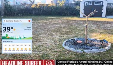 Frost blanketed Daytona Beach, FL on Friday am / Feb. 6, 2026 / Headline Surfer