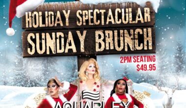 Holiday Spectacular Brunch Series at Aquaplex Fort Lauderdale