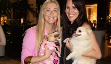 Dog Parks for People on SocialMiami's Charity Pages