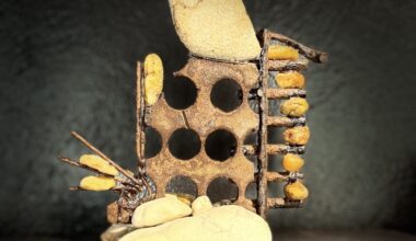 Alliance for the Arts to open All Florida Exhibition, new gallery showcases in March