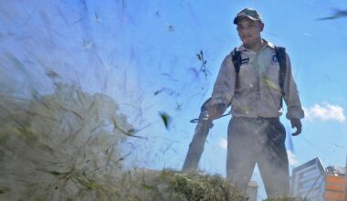 Aurelio Chum blows grass cuttings with a leaf blower on Ponce de Leon Avenue in Coral Gables in 2010.