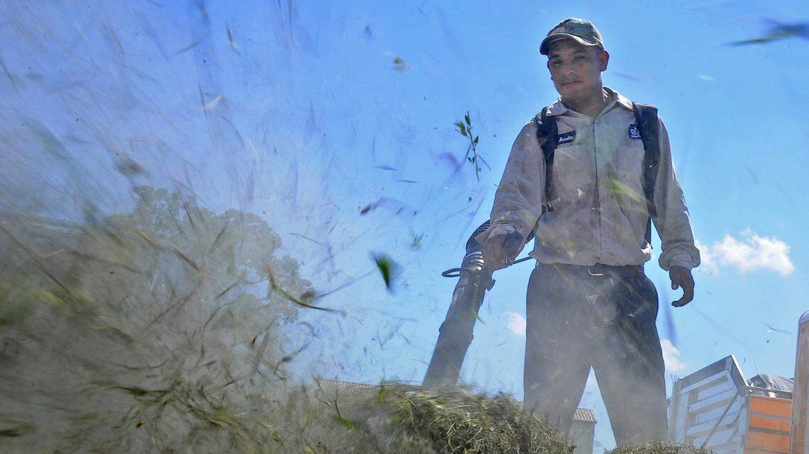 Aurelio Chum blows grass cuttings with a leaf blower on Ponce de Leon Avenue in Coral Gables in 2010.
