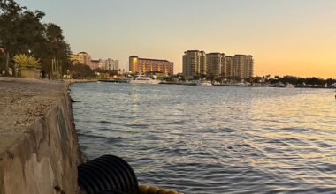 The city of St. Pete has about 15-miles of city-owned seawall, including a stretch by the St. Pete Pier (Angie Angers).