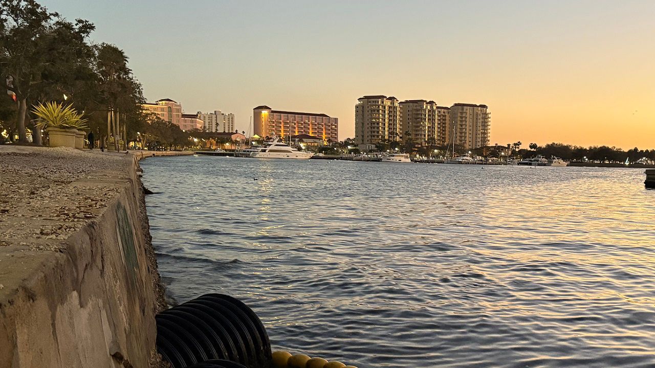 The city of St. Pete has about 15-miles of city-owned seawall, including a stretch by the St. Pete Pier (Angie Angers).