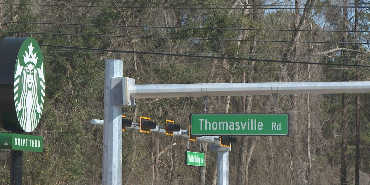 New traffic light at Thomasville and Velda Dairy Road sparks mixed community reactions