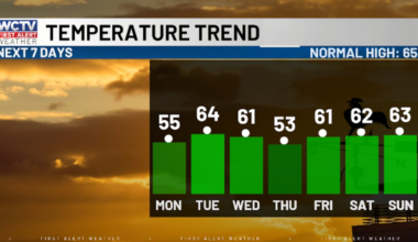 Cam is tracking a slight warming trend ☀️