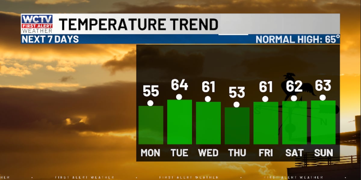 Cam is tracking a slight warming trend ☀️