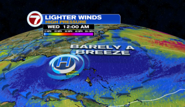 Not a boring pattern! - WSVN 7News | Miami News, Weather, Sports