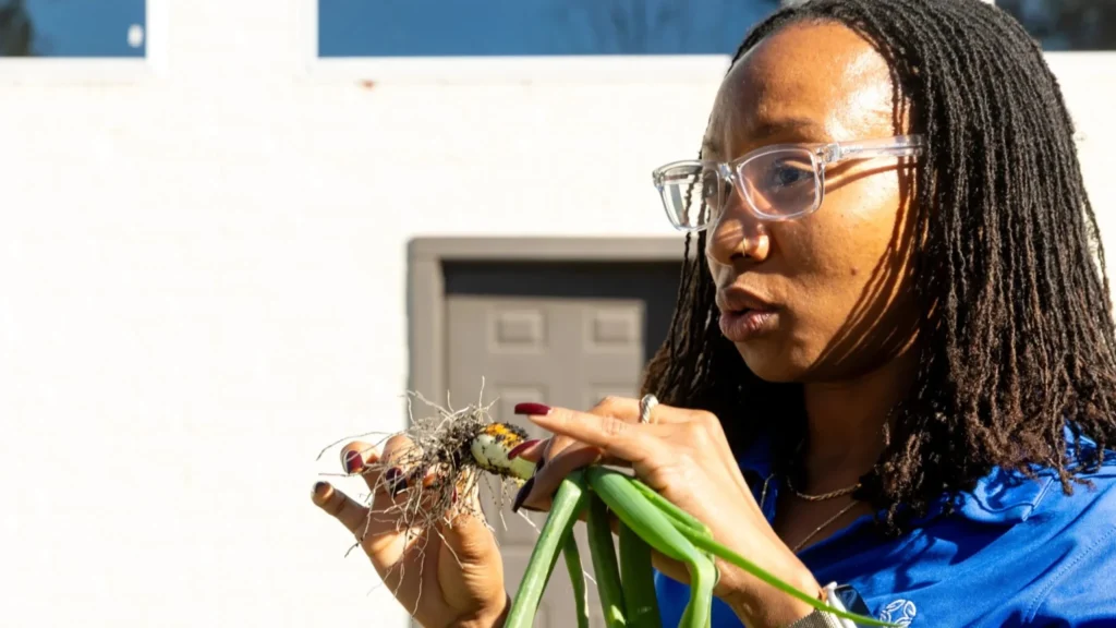 Q&A | How Blue Zones Jacksonville fosters community amid financial pessimism