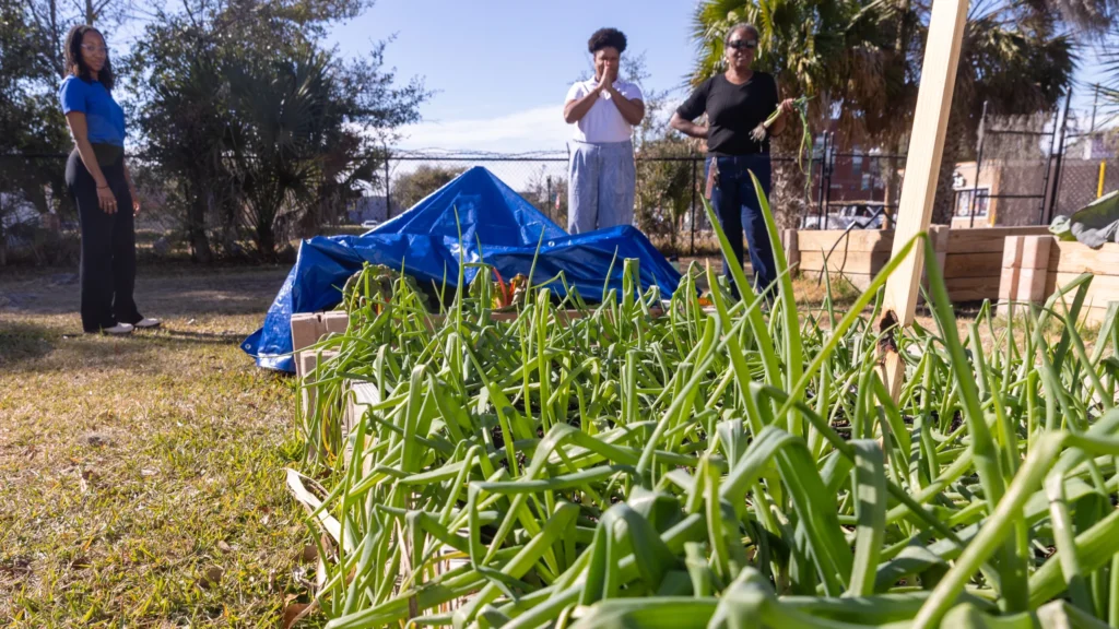 A community garden outside Blue Zones Jacksonville's headquarters.
