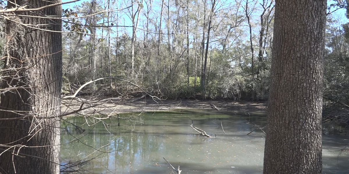 Tallahassee environmental group calls for greater airborne testing of harmful algae blooms