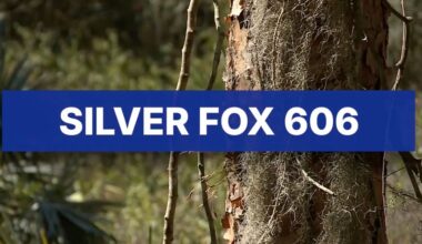 Who's behind the massive data center planned for Indiantown?