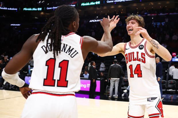 Ayo Dosunmu (11) and Matas Buzelis celebrate after the Bulls' 125-118 victory over the Heat on Saturday, Jan. 31, 2026, in Miami. (Megan Briggs/Getty Images)