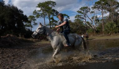 The Great Florida Cattle Drive revives a bygone cowboy era