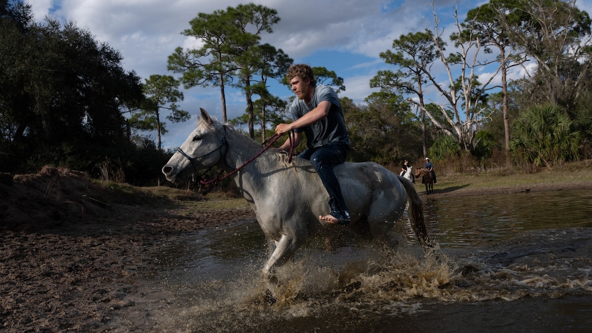 The Great Florida Cattle Drive revives a bygone cowboy era