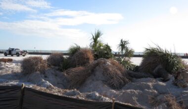 Lee County acknowledges destruction of trees at Crescent Beach Family Park - FORT MYERS