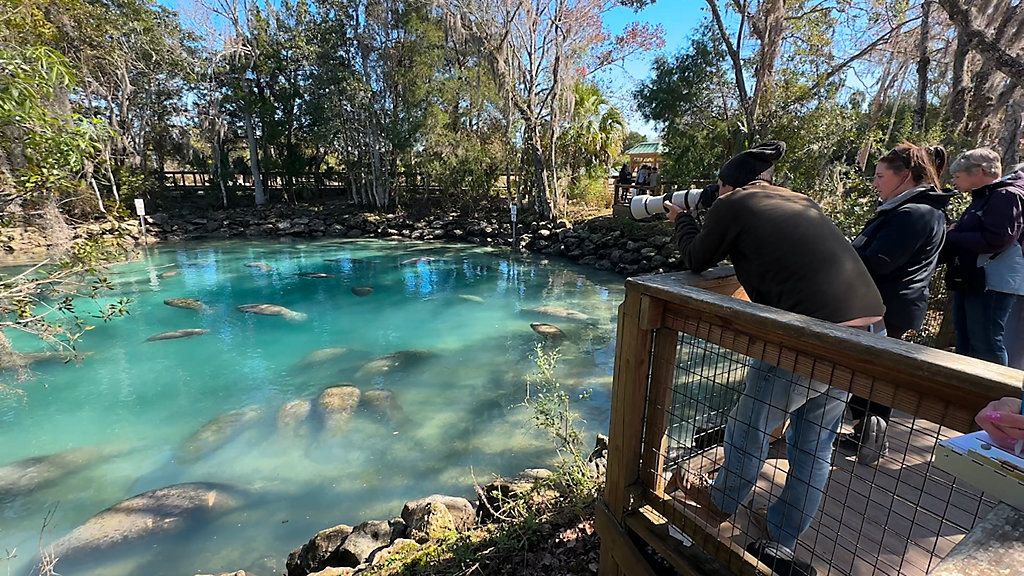 The City of Crystal River recently bought a new shuttle, helping ease the flow of increased traffic between the Three Sisters Springs Visitor Center. The recent investment is coming at a crucial time for the 'Manatee Capital of the World.' (Spectrum News/Calvin Lewis)
