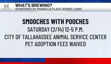 What’s Brewing - Smooches with Pooches