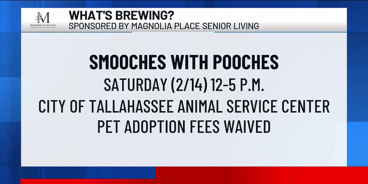 What’s Brewing - Smooches with Pooches