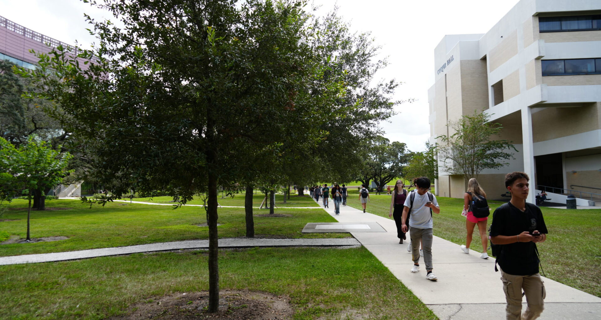 Our lives are too curated. It’s time to develop personal taste