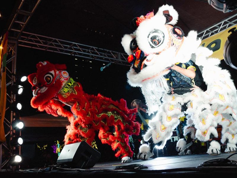 Orlando’s festival scene just got way cuter with the imminent arrival of Panda Fest