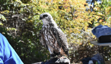 February in Photos – The Crow's Nest