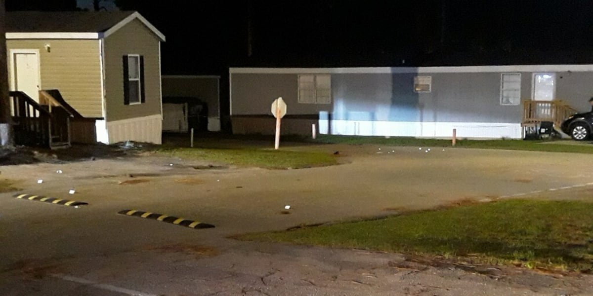Man pleads guilty to 2023 drive-by shooting at Leon County mobile home park