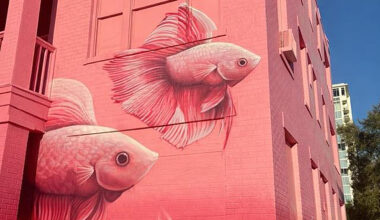Downtown’s pink buildings: Cool canvas or calculated stunt?