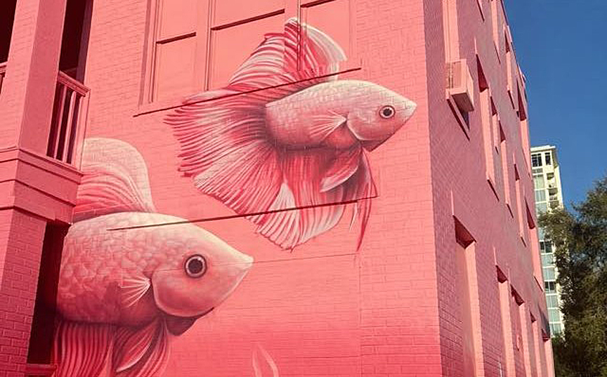 Downtown’s pink buildings: Cool canvas or calculated stunt?