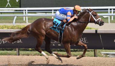 'Rising Star' Disruptor Makes A Winning Return at Tampa