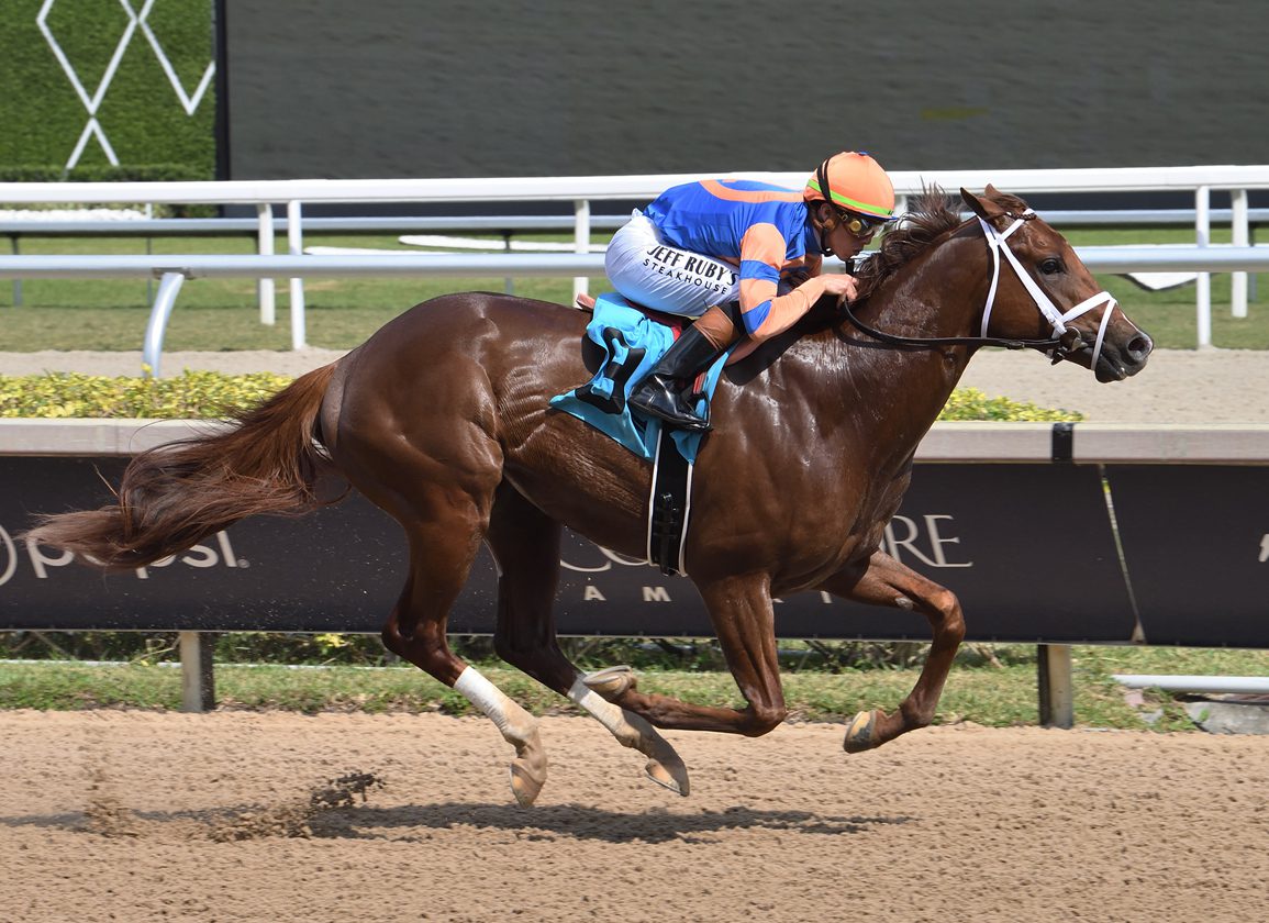 'Rising Star' Disruptor Makes A Winning Return at Tampa