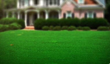 Florida House passes property tax reform amendment