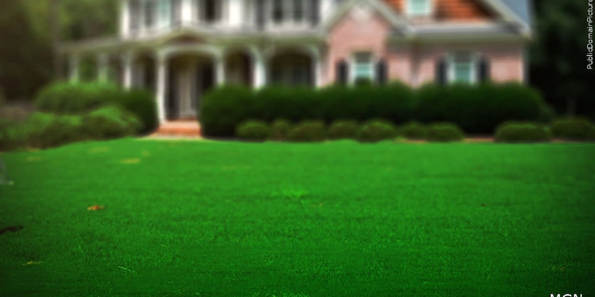 Florida House passes property tax reform amendment