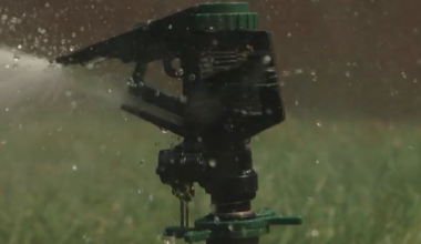 Expert shares tips to cut back on watering your lawn amid water shortage warning
