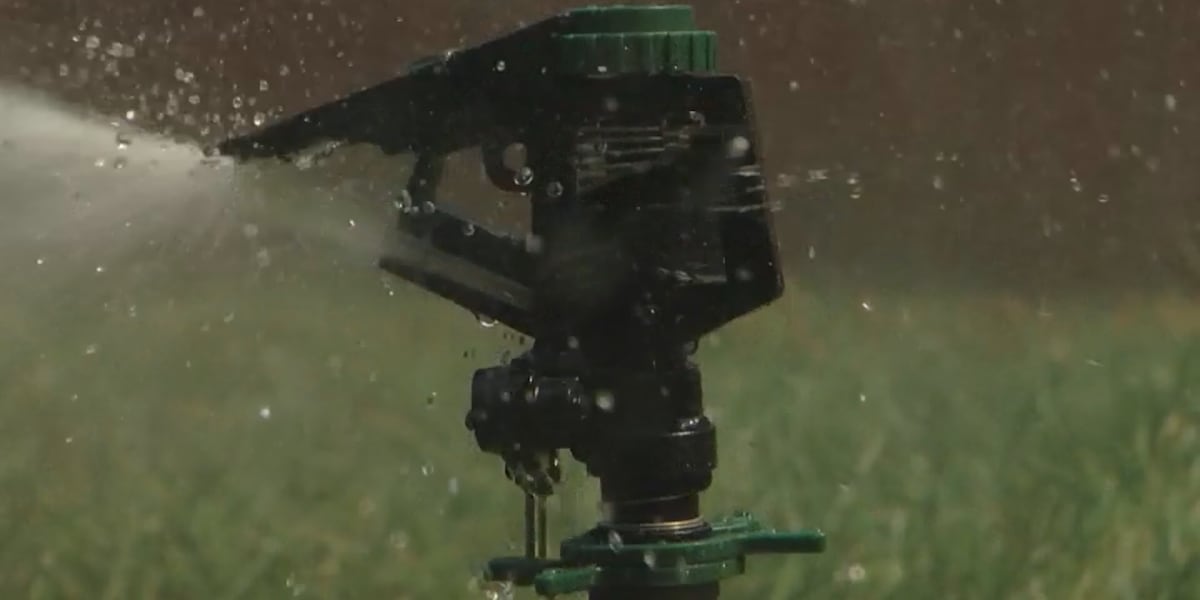 Expert shares tips to cut back on watering your lawn amid water shortage warning