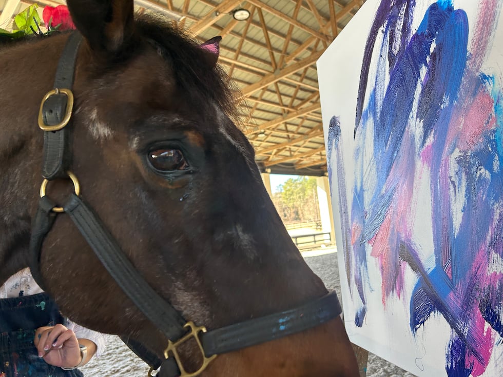 Rovy puts his artistic skills to good use, using vibrant colors to create a beautiful painting. 