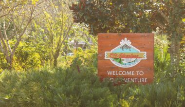 Sexual assault reported near UNF’s Eco Adventure