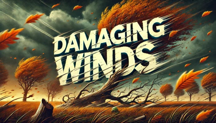 FAC20840-78C3-4528-A49E-F0F5027993BF