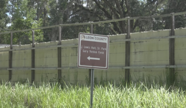 Failed Woodville fish farm now demolished, site in ‘cleanup phase’