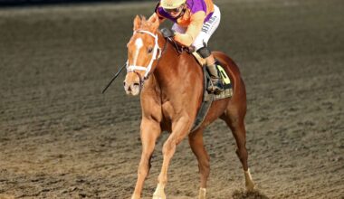 Despite Florida Series Opening, Plans Unchanged For Further Ado