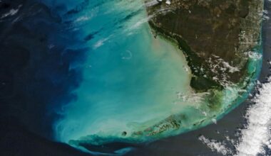 NASA spots Florida's ocean waters changing color
