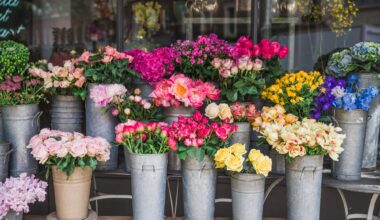 photo of flower arrangements in tin pots at a shop