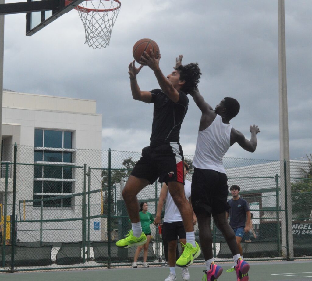 New USFSP club takes basketball off the bench – The Crow's Nest