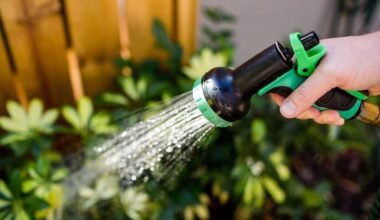 St. Pete Residents Can Learn How to Save Water and Money with Free Conservation Programs