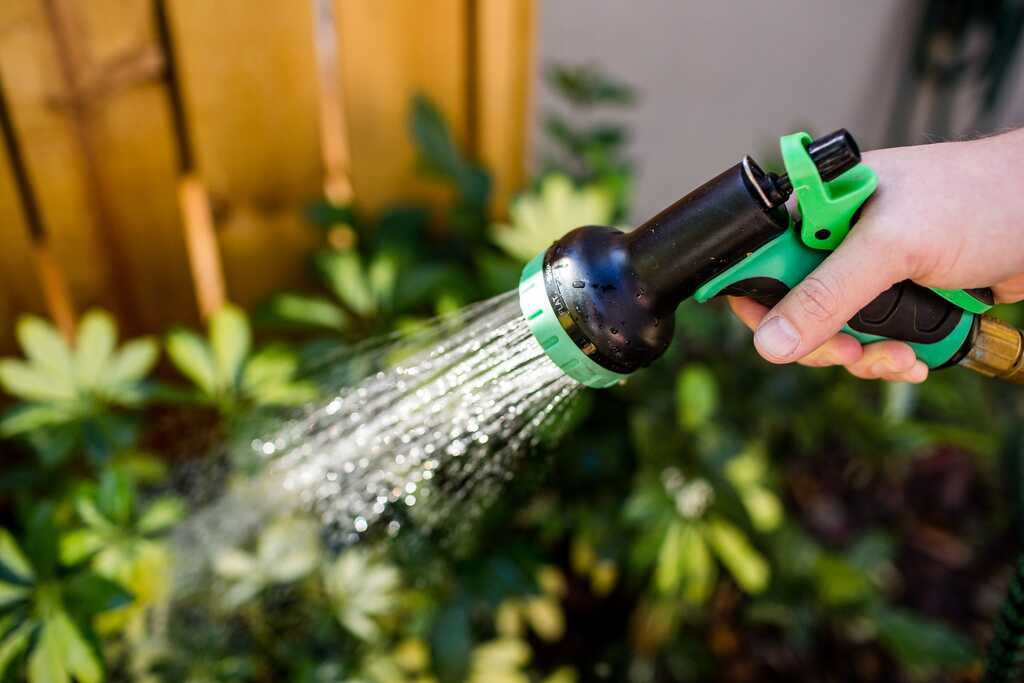 St. Pete Residents Can Learn How to Save Water and Money with Free Conservation Programs