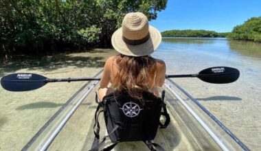 Local kayaking tour named No. 1 outdoor experience in America by TripAdvisor