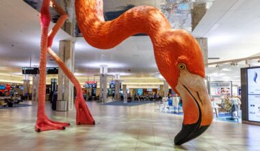 Tampa Airport Announces Divisive New Dress Code Rule: "We've Seen Enough"